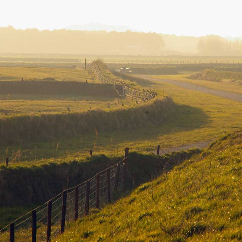 DeLieuw_tuunwal_ouwehorn_original