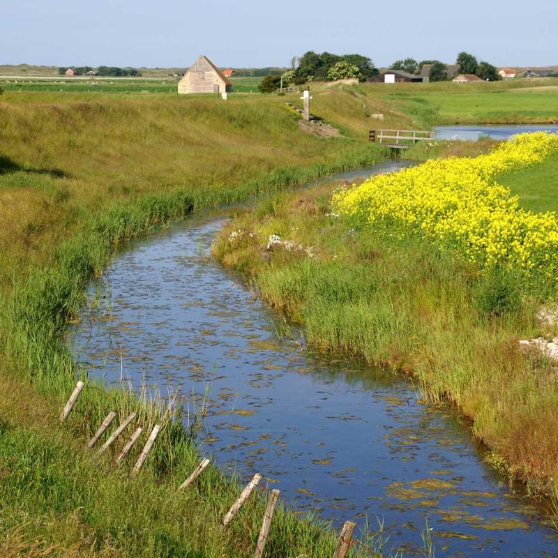 DeLieuw_havensluis-dijkdoorbraak_original
