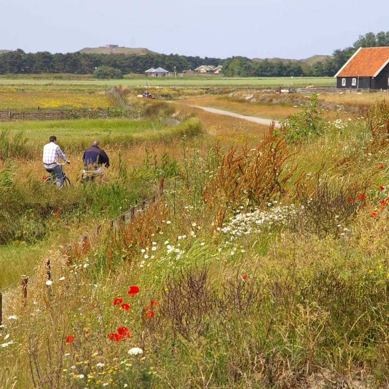 DeLieuw_tuunwal_ouwehorn2_original