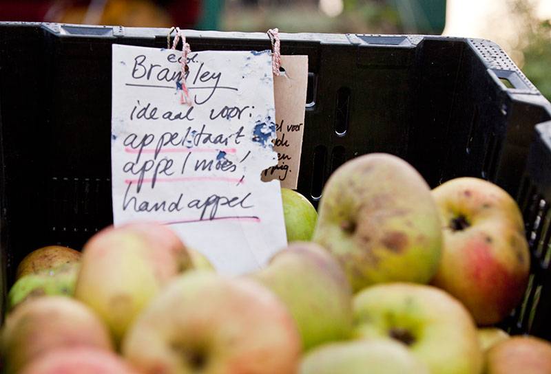 4-wandelroute-de-hal_dd5fb2583606f67b1c89b383d765a4bf_original