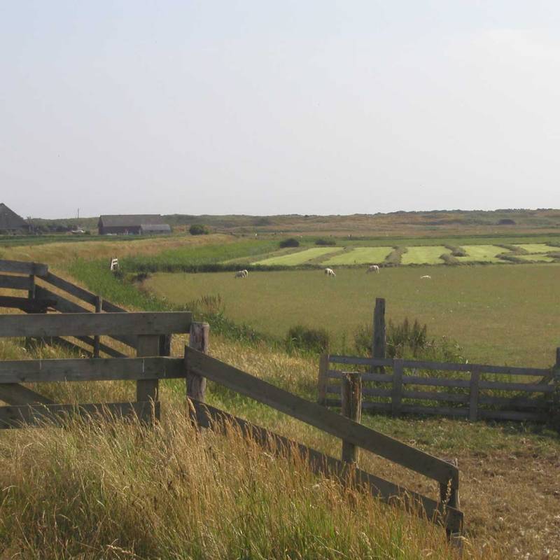 DeLieuw_dijk_hoorndernieuwland_original