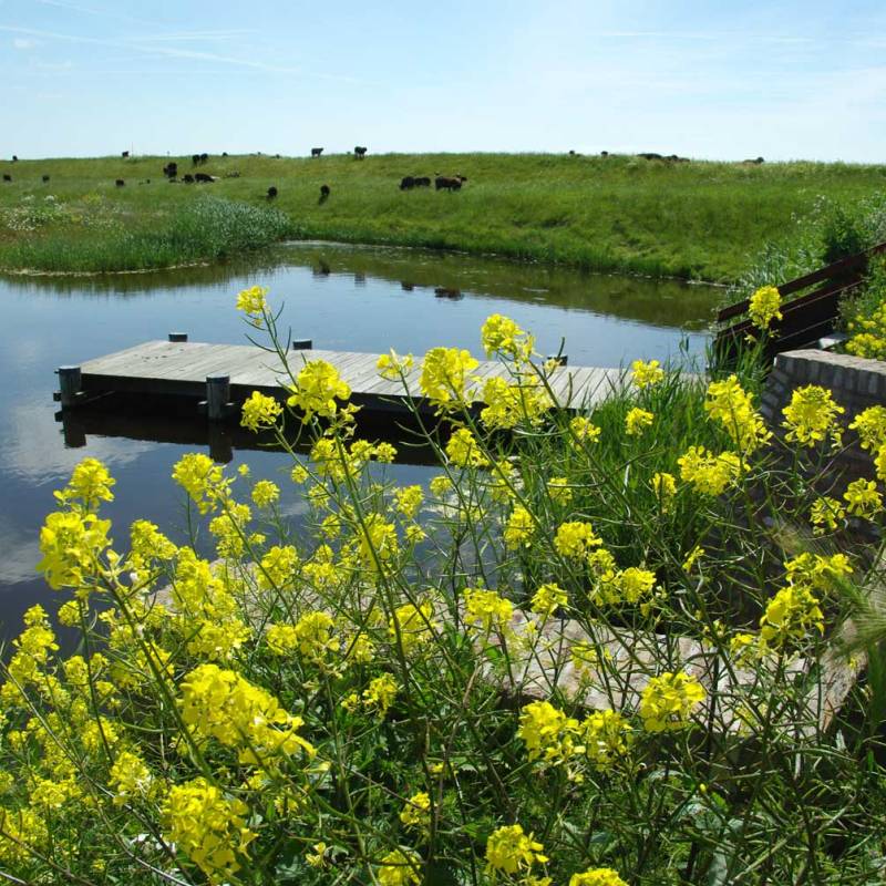 DeLieuw_havensluis-dijkdoorbraak2_original