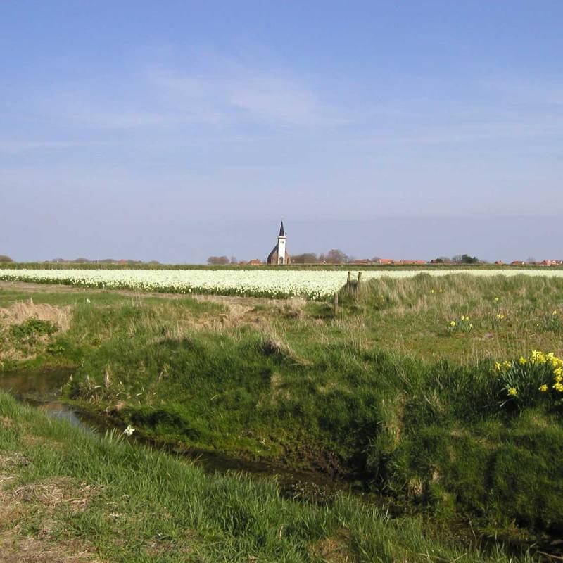 DeLieuw_kerk-geest_original