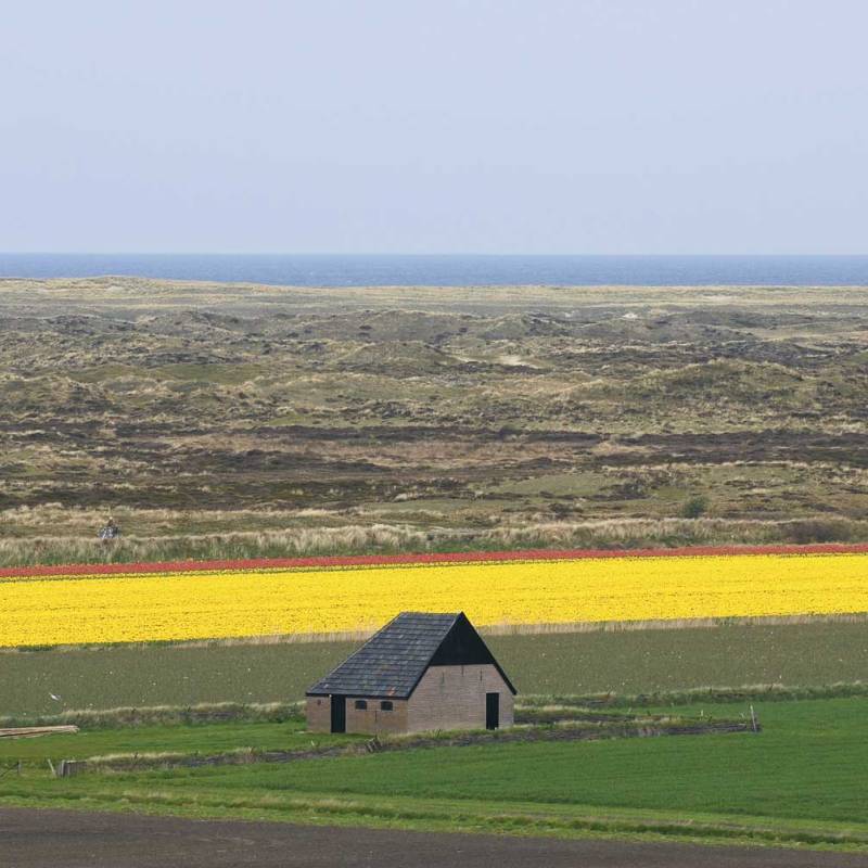 DeLieuw_schapenboet_rommelpot_original