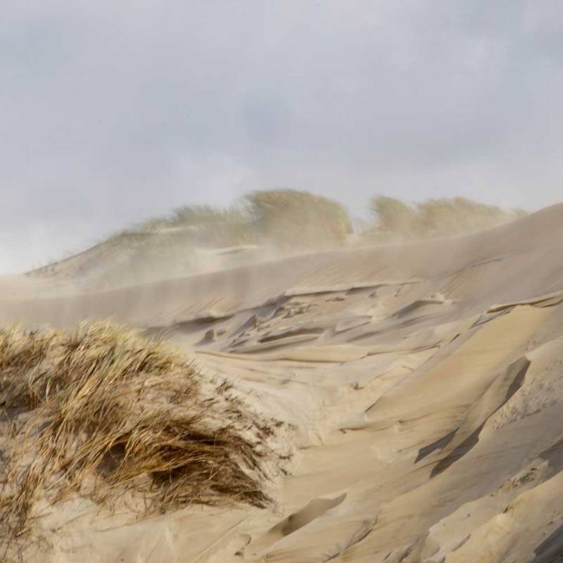DeLieuw_strand_stuifzand_original
