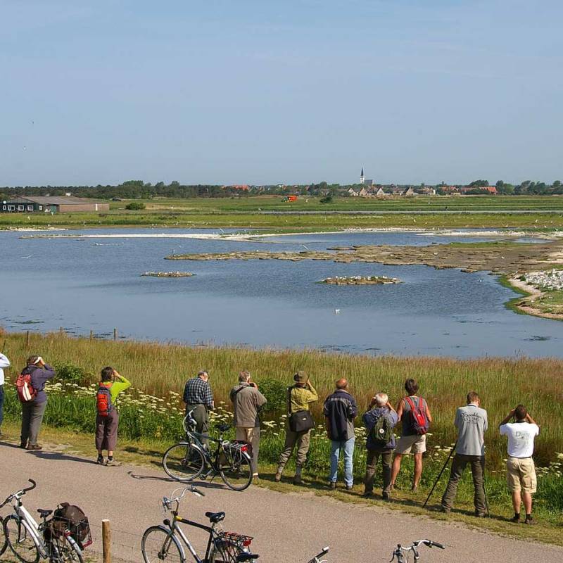 DeLieuw_vogels_depetten_original
