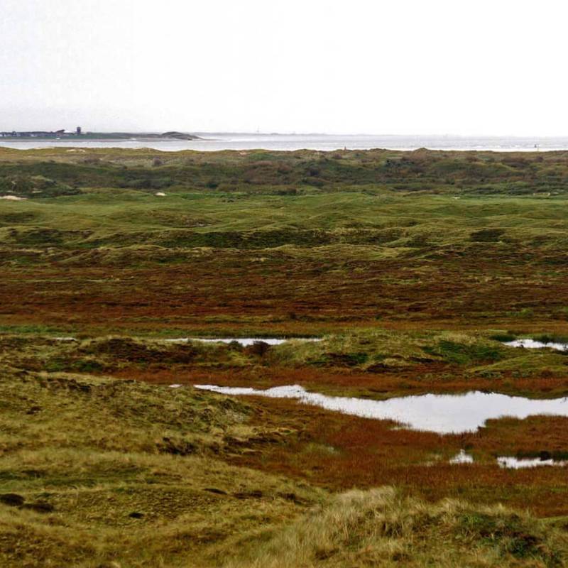 DeLieuw_zuidpunt-marsdiep_original_original