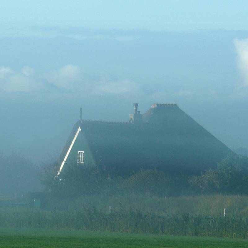 De_Westen-2010-Torenhuis-21-09-2010_bewerkt-1_original