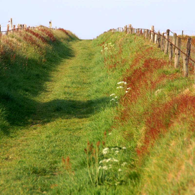 Cultuurland-weggetje-zuring-Hoge_Berg-mei-08_original