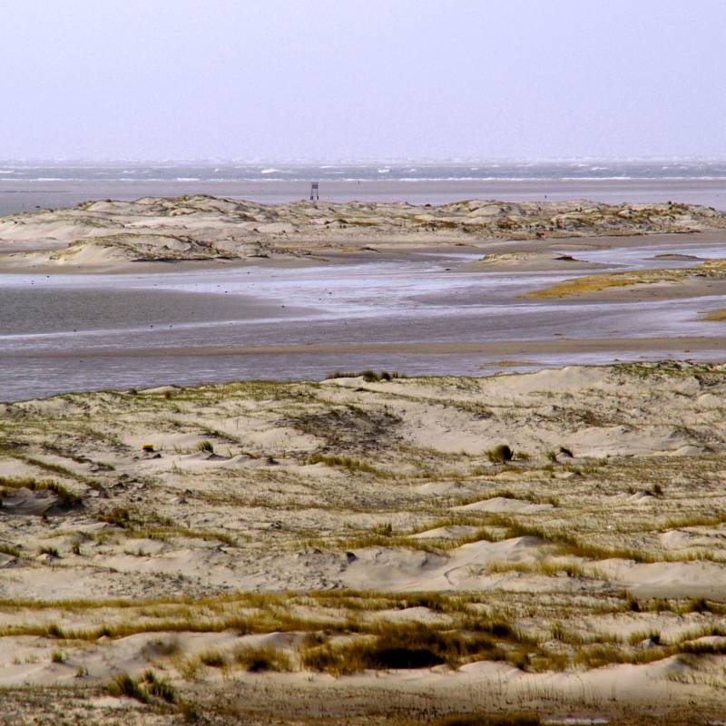 Duinen-De_Hors-zuidwest_duintjes-overzicht-mrt-08_original