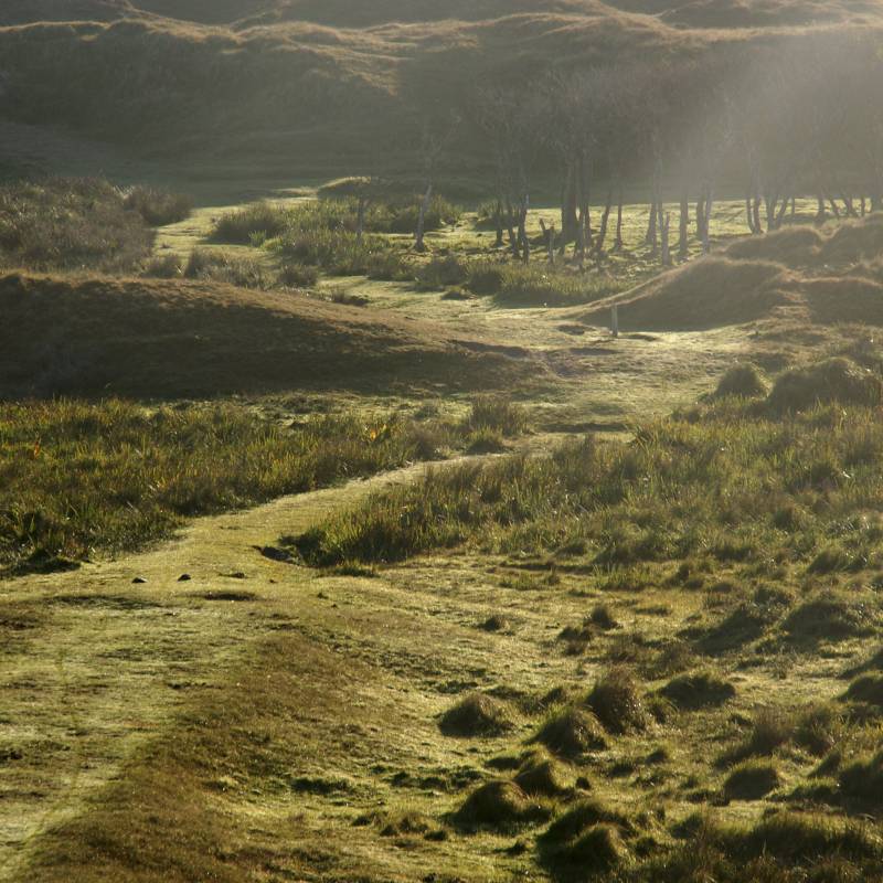 duinen-Bollekamer-tegen-licht-okt-07_original
